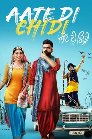 Aate di chidi (2018) Punjabi Movie 720p HDRip x264 [1GB] - Movierulz