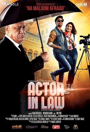 Actor in Law (2016) Movie Pakistani HDRip 720p [1.2GB] Download - Movierulz