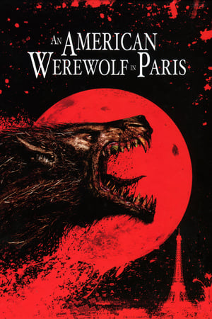 An American Werewolf in Paris 1997 Hindi Dual Audio 480p BluRay 300MB - Movierulz