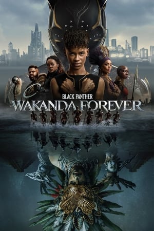 Black Panther: Wakanda Forever 2022 Hindi (ORG) Dual Audio BluRay 720p – 480p - Movierulz