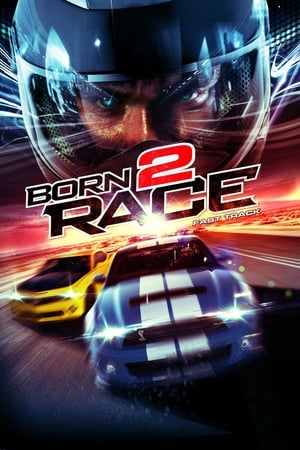 Born to Race Fast Track 2014 Hindi Dual Audio 720p BluRay [840MB] - Movierulz