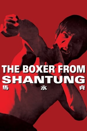 Boxer from Shantung (1972) Hindi Dual Audio 480p BluRay 400MB - Movierulz