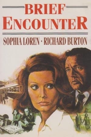 Brief Encounter 1974 Hindi Dual Audio 480p BluRay 300MB - Movierulz