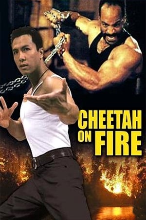 Cheetah on Fire 1992 Hindi Dual Audio 720p Web-DL [900MB] - Movierulz