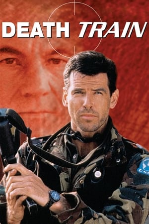 Detonator (1993) Hindi Dual Audio 480p HDRip 300MB - Movierulz