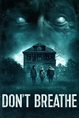 Don't Breathe (2016) Hindi Dual Audio 720p BluRay [850MB] - Movierulz
