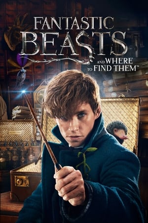 Fantastic Beasts and Where to Find Them 2016 Dual Audio (Hindi) 480p Bluray [300MB] - Movierulz