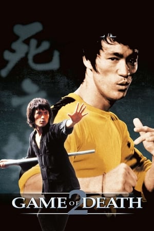 Game of Death II (1981) Dual Audio Hindi Movie 720p BluRay - 1.1GB - Movierulz