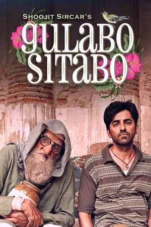 Gulabo Sitabo 2020 Hindi Movie 720p HDRip x264 [980MB] - Movierulz
