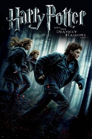 Harry Potter and the Deathly Hallows 2010 – Part 1 Hindi Dubbed Bluray 720p [1.0GB] Download - Movierulz