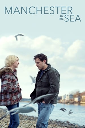 Manchester by the Sea 2016 Hindi Dual Audio 720p BluRay [1.3GB] - Movierulz