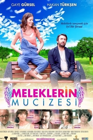 Meleklerin mucizesi (2014) Hindi Dual Audio 720p Web-DL [600MB] - Movierulz