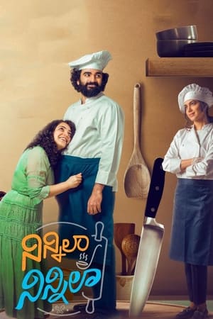 Ninnila Ninnila (2021) Hindi Movie 480p HDRip – [400MB] - Movierulz