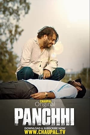 Panchhi 2021 Punjabi Movie 720p HDRip x264 [750MB] - Movierulz