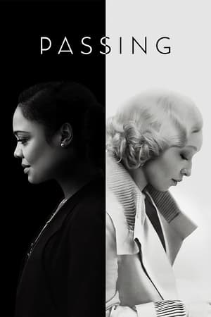 Passing 2021 Hindi Dual Audio 720p Web-DL [1.2GB] - Movierulz