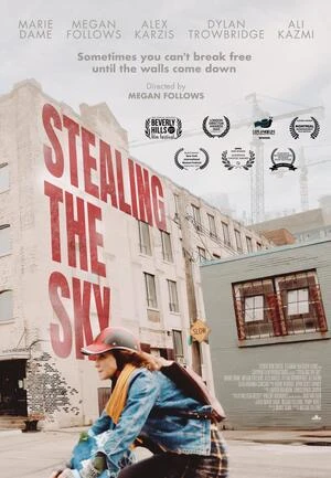 Stealing the Sky 2025 English Audio WEB-DL 720p - 480p - 1080p - Movierulz