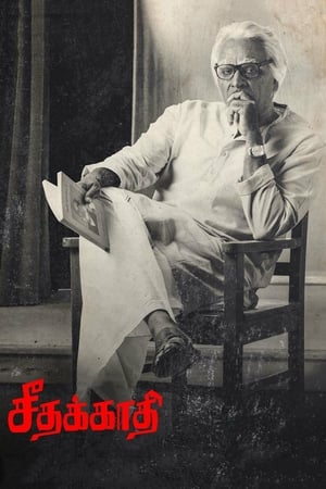 Seethakaathi (2018) Hindi Dubbed 480p HDRip 400MB - Movierulz