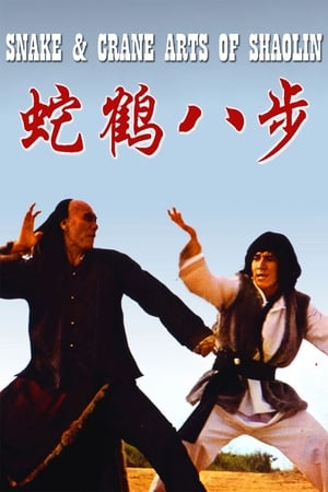 Snake and Crane Arts of Shaolin 1978 Hindi Dual Audio 720p BluRay [980MB] - Movierulz