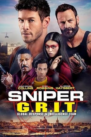 Sniper GRIT Global Response and Intelligence Team 2023 Hindi Dual Audio HDRip 720p – 480p - Movierulz