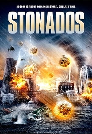 Stonados (2013) Hindi Dual Audio 480p BluRay 300MB - Movierulz