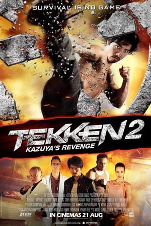 Tekken Kazuyas Revenge 2014 Hindi Dual Audio 720p BluRay [900MB] - Movierulz