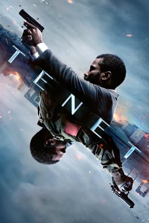 Tenet (2020) Hindi Dual Audio 480p BluRay 550MB - Movierulz