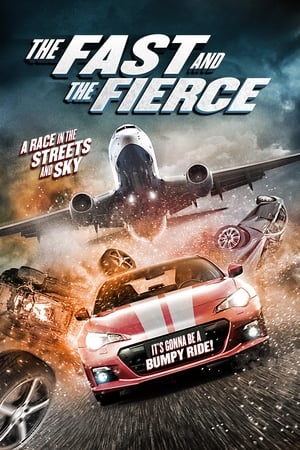 The Fast and the Fierce 2017 Hindi Dual Audio 480p BluRay 300MB - Movierulz