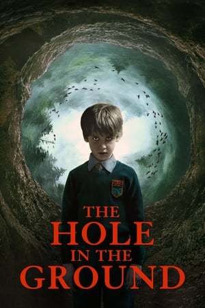 The Hole in the Ground 2019 Hindi Dual Audio 480p BluRay 300MB - Movierulz