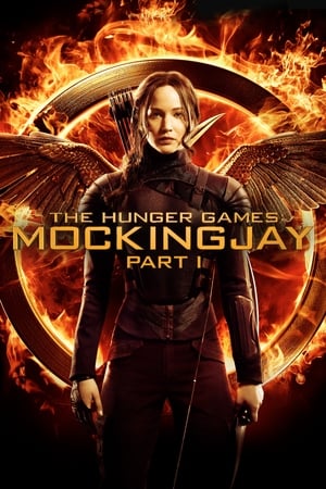 The Hunger Games: Mockingjay - Part 1 (2014) Hindi Dual Audio 480p BluRay 350MB - Movierulz