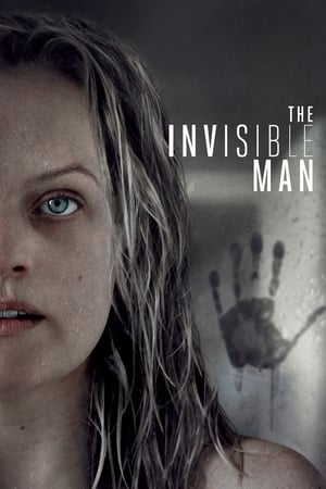The Invisible Man (2020) Hindi (ORG) Dual Audio 480p BluRay 400MB - Movierulz