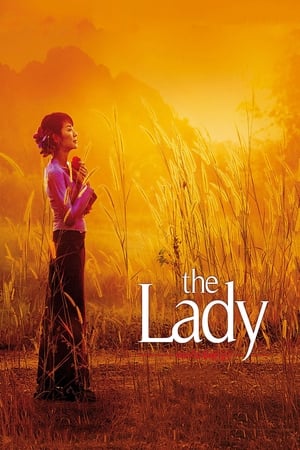 The Lady 2011 Dual Audio Hindi Movie 720p Bluray - 920MB - Movierulz