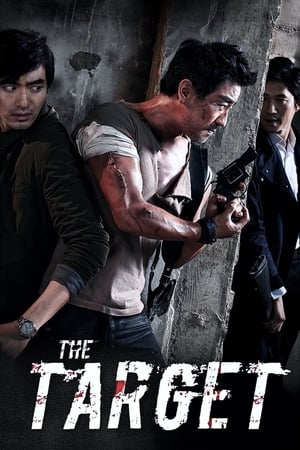 The Target (2014) Hindi Dual Audio 720p Bluray [900MB] - Movierulz
