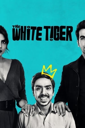 The White Tiger (2021) Hindi Movie 720p HDRip x264 [990MB] - Movierulz