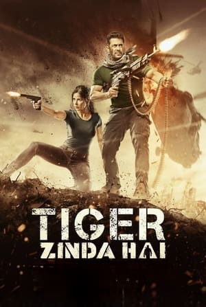 Tiger Zinda Hai 2017 Hindi Audio WEB-DL 1080p - 720p - 480p - Movierulz