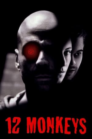 Twelve Monkeys (1995) Hindi Dual Audio 480p BluRay 450MB - Movierulz