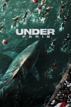 Under Paris 2024 Hindi Dual Audio HDRip 1080p – 720p – 480p - Movierulz
