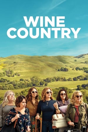 Wine Country (2019) Hindi Dual Audio 720p Web-DL [1GB] - Movierulz