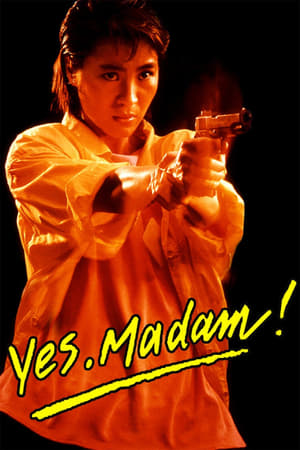Yes Madam 1985 300MB Hindi Dubbed BRRip 480p Download - Movierulz